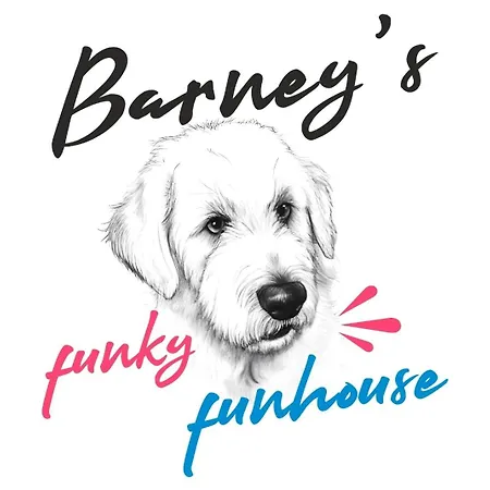 Barney's Funky Funhouse Apartmán Bukurešť